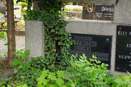 Bad Godesberg